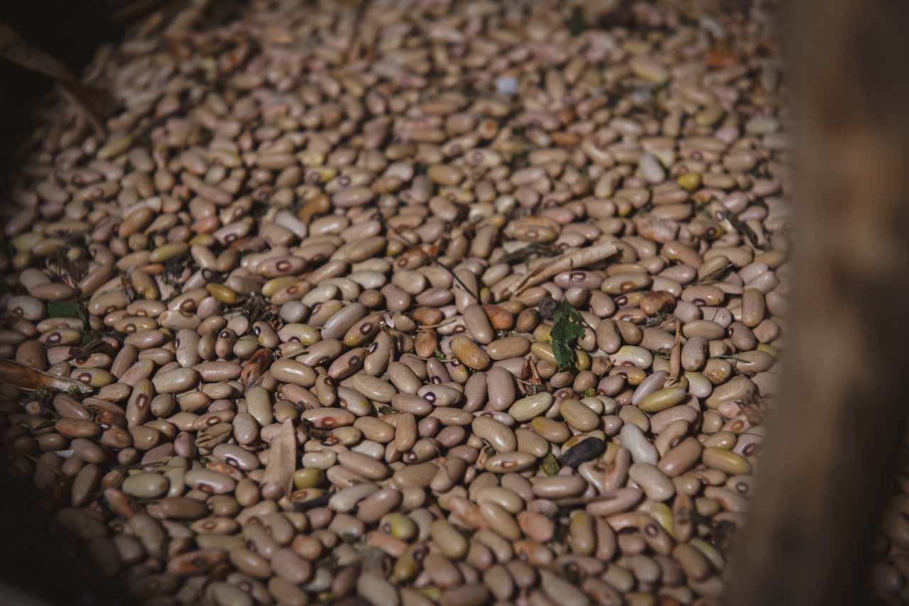 Aggiungi un legume a tavola: il 10 febbraio in oltre 150 ristoranti e pizzerie